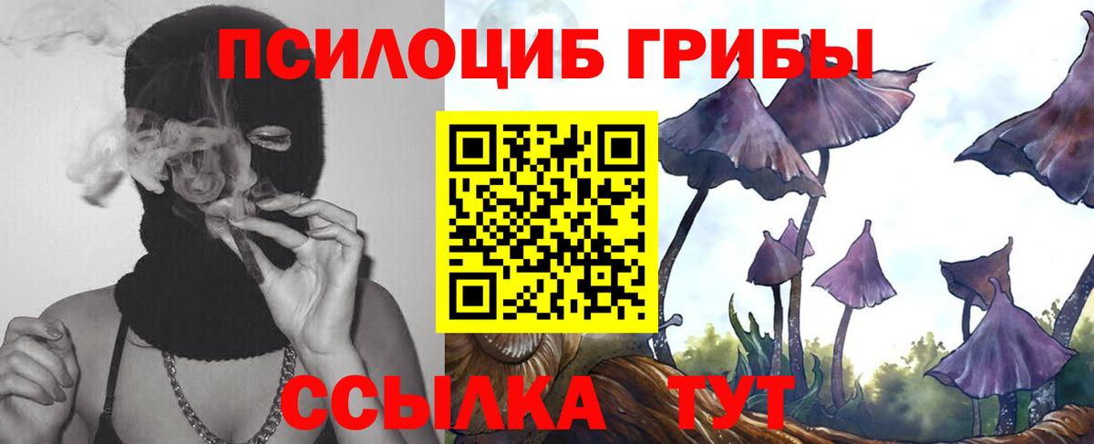 Канаш  Галлюциногенные грибы GOLDEN TEACHER  Вход с VPN 